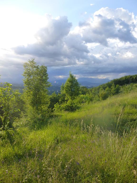 La Casetta Del Tiglio Bed & Breakfast Arcugnano Dış mekan fotoğraf