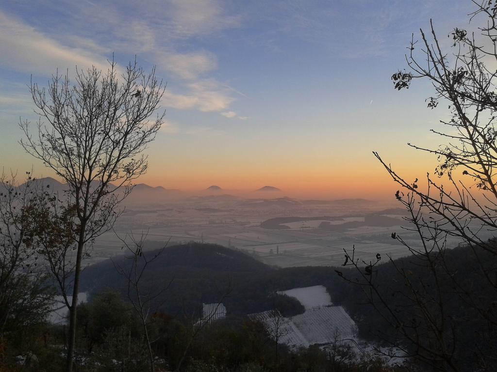 La Casetta Del Tiglio Bed & Breakfast Arcugnano Dış mekan fotoğraf